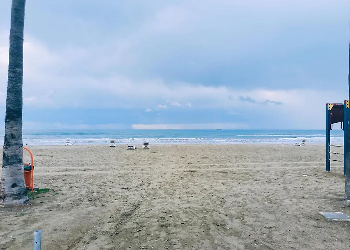 Apartment 2 Bedroom Brand New Mc Kenzie 2 Minute To The Mc Kenzie