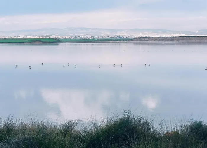 Apartament 2 Bedroom Brand New Mc Kenzie 2 Minute To The Mc Kenzie *